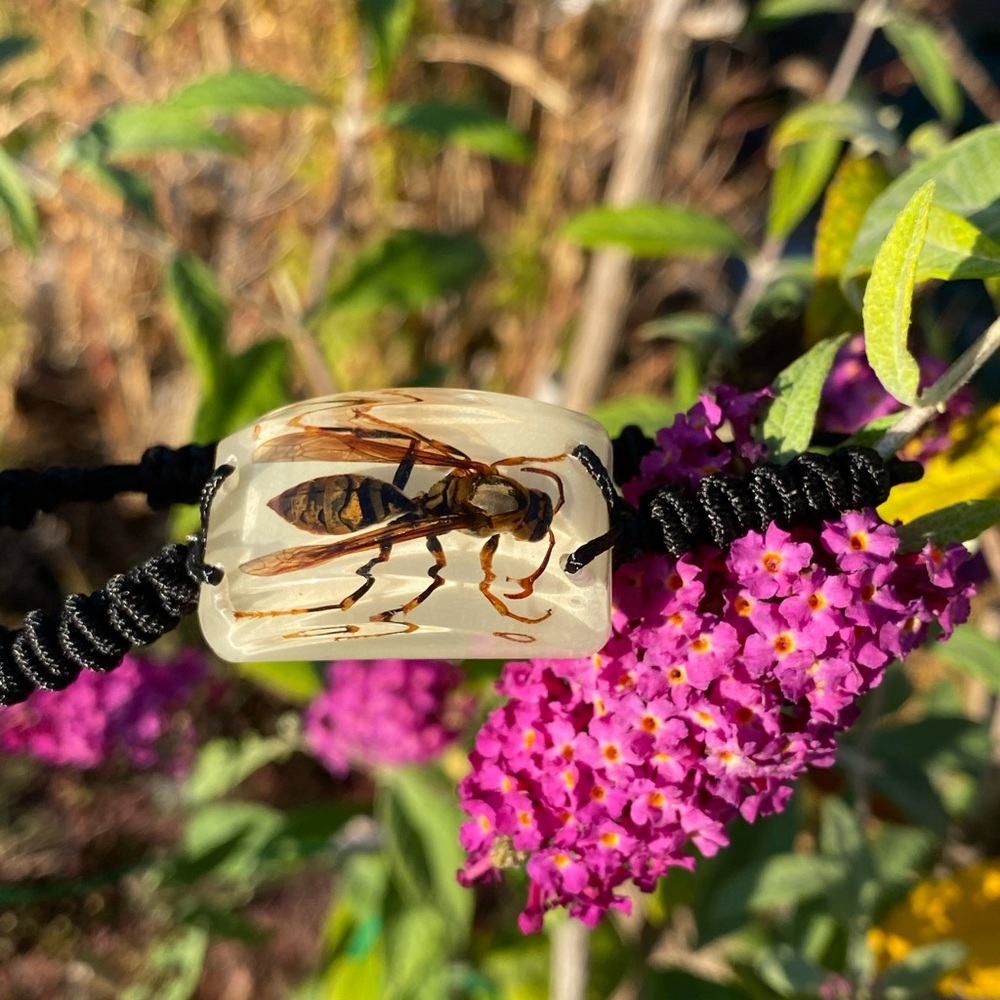 Real Yellow Jacket Wasp Bracelet Gothic